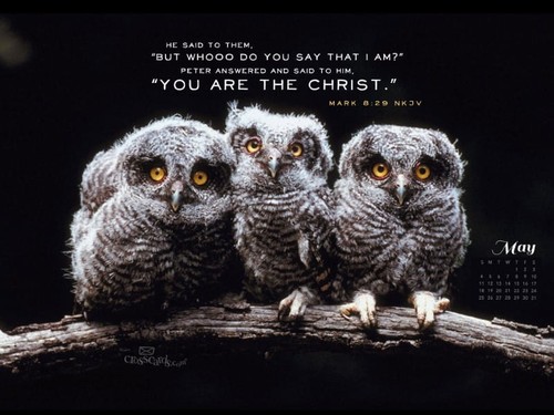 May 2014 - Mark 8:29