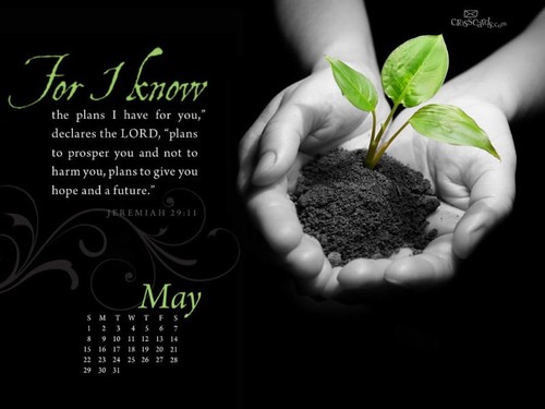 May 2011 - Know the Plans