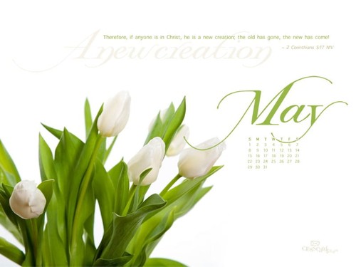 May 2011 - New Creation