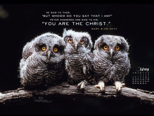 May 2013 - Mark 8:29 NKJV
