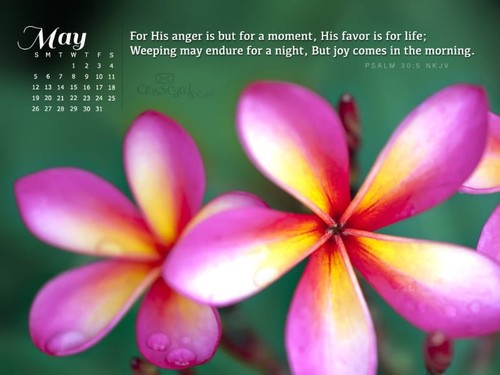 May 2013 - Psalm 30:5 NKJV
