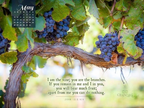 May 2013 - John 15:5 NIV