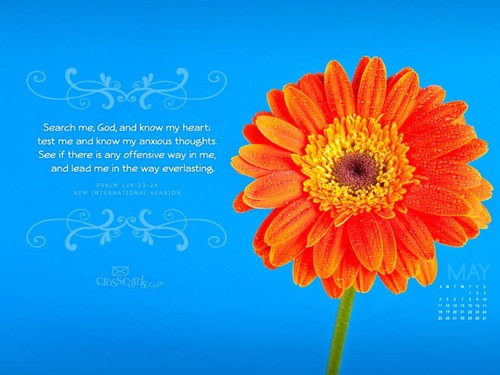 May 2014 - Psalm 139:23-24