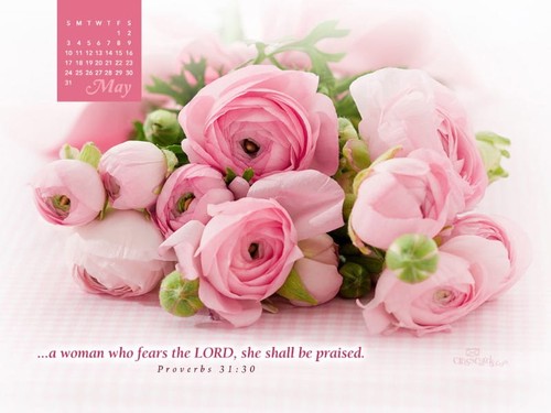 May 2015 - Proverbs 31:30