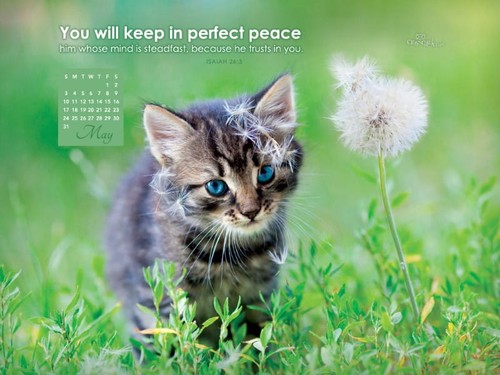 May 2015 - Perfect Peace