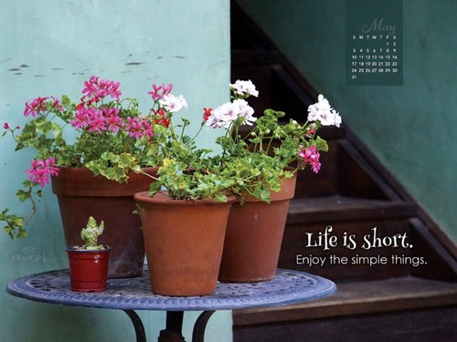May 2015 - Life is Short