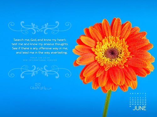 June 2013 - Psalm 139:23-24 NIV