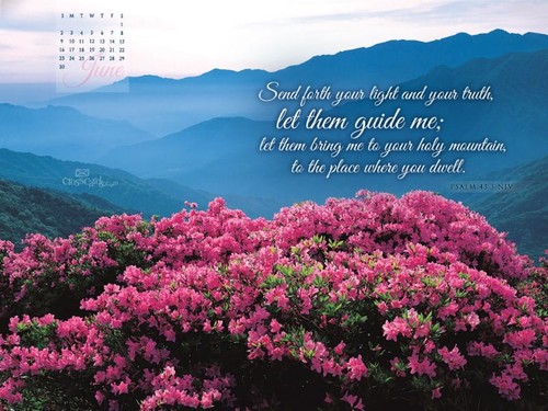 June 2013 - Psalm 43:3 NIV