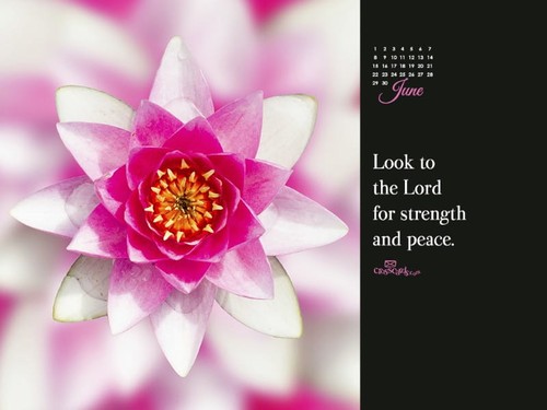 June 2014 - Strength and Peace