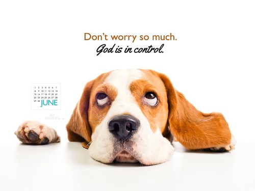 June 2014 - Don't Worry