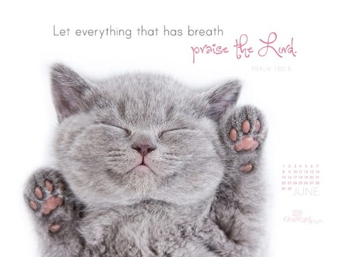 June 2014 - Praise the Lord