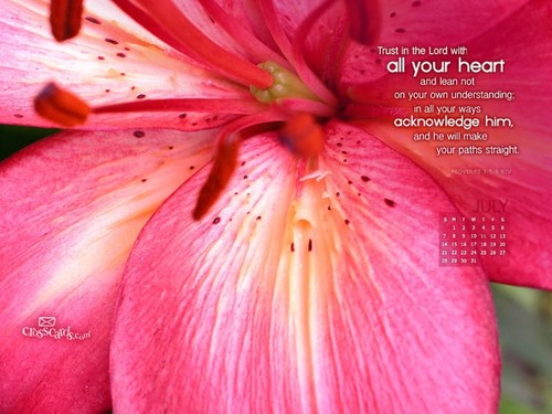 July 2013 - Proverbs 3:5-6 NIV