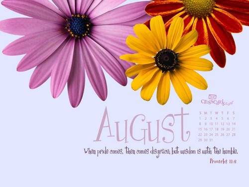 August 2010 - Proverbs 11:2