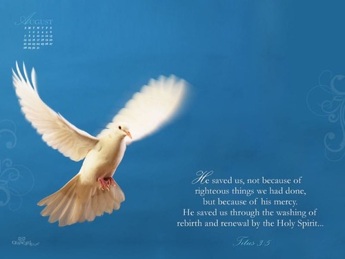 August 2011 - Titus 3:5
