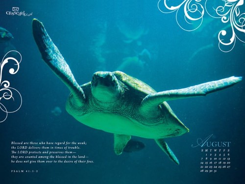 August 2011 - Psalm 41:1-2