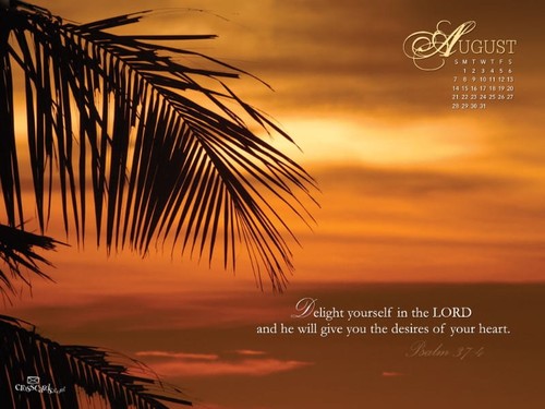 August 2011 - Delight