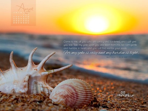 August 2013 - Matthew 11 NIV