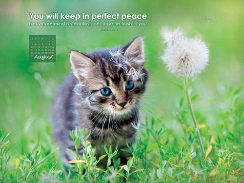 August 2014 - Perfect Peace