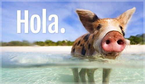Hola