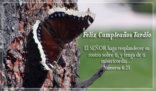 Feliz Cumpleaños Tardío