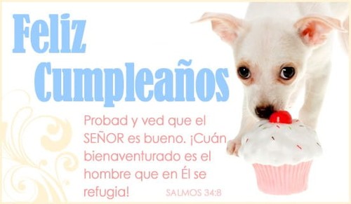 Probad y ved que el SEÑOR es bueno. 