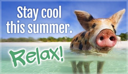 Stay Cool - Relax