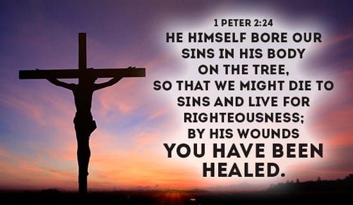 1 Peter 2:24