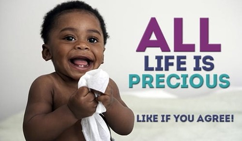 All life is Precious!