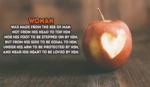 Woman was made from the rib of a man...