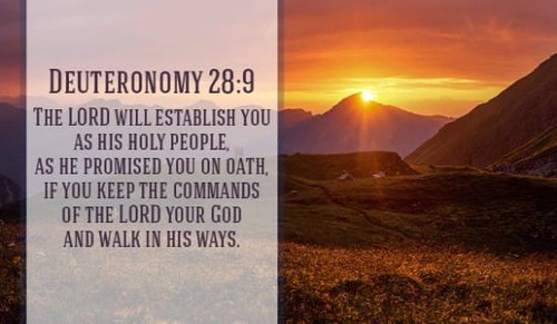 Deuteronomy 28:9