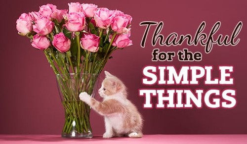 Simple Things