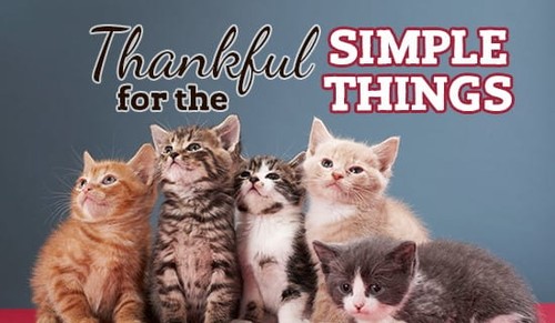 Simple Things