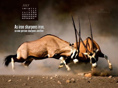 July 2015 - Iron Sharpens Iron
