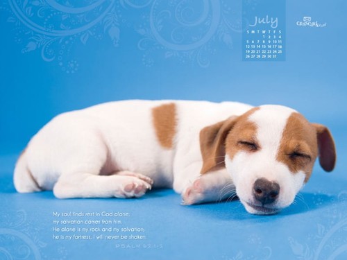 July 2015 - Find Rest