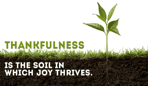 Thankfulness is...