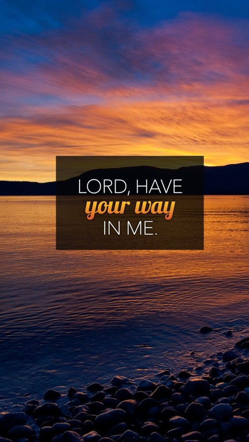 Have Your Way