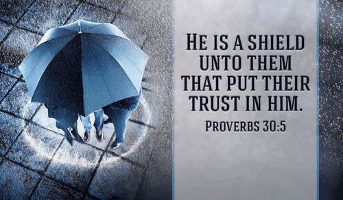 Will you trust in God today?
