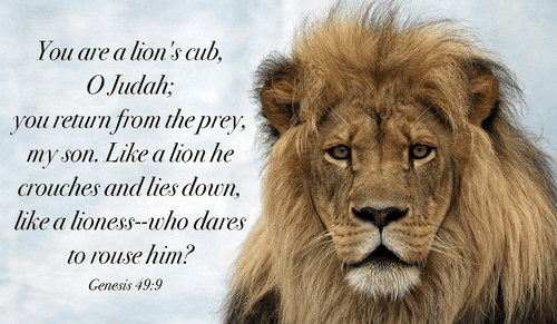 God will protect us like a lion protects her cubs - Genesis 49:9