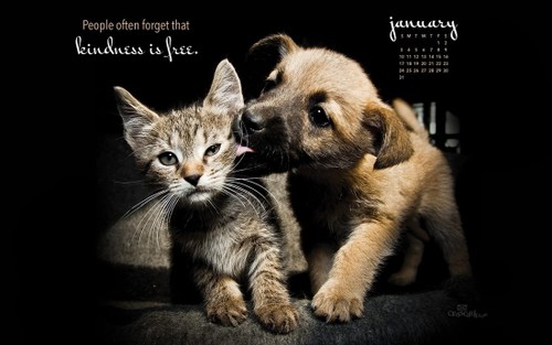January 2016 - Kindness is Free
