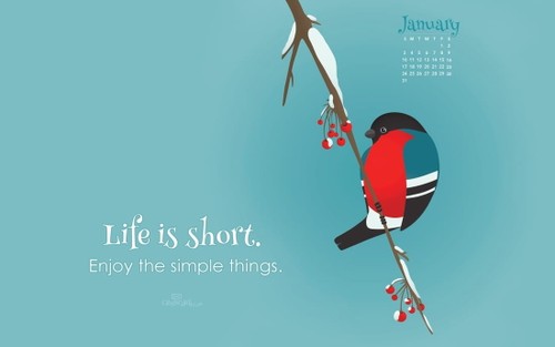 January 2016 - Life is Short