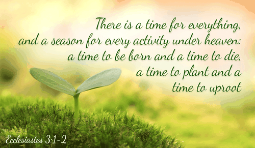 It's all in the timing - Ecclesiastes 3:1-2