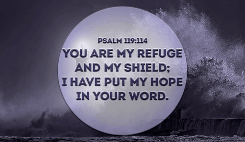 Thank you for protecting me Lord, Amen - Psalm 119:114