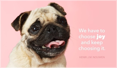 We Have to Choose Joy and Keep Choosing it.