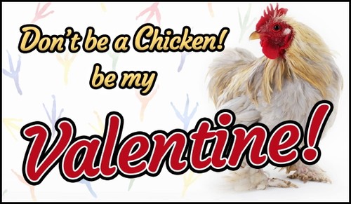 happy valentines day with chickens