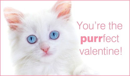 Purrfect Valentine