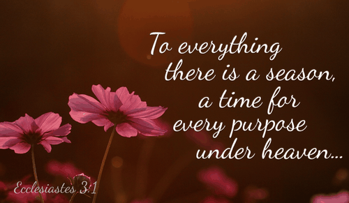 God has His perfect timing for everything, sometimes patience is needed - Ecclesiastes 3:1