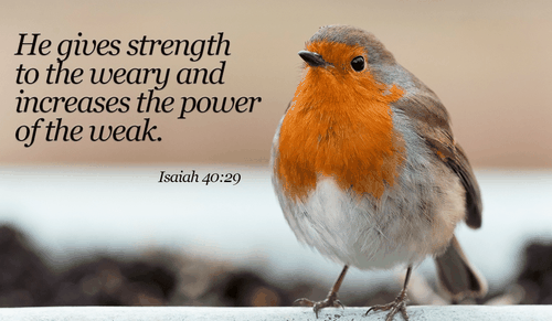 He WILL make you strong, believe in Him! - Isaiah 40:29