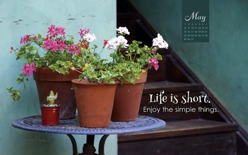 May 2016 - Life Is Short