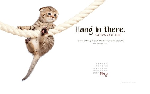 May 2016 - Hang in There