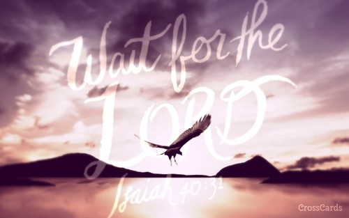 Wait for the Lord - Isaiah 40:32